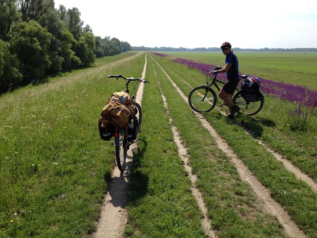 endless dirt track kilometers in southern Hungary nearing Croatia
