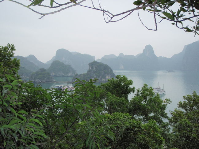Ha Long Bay Viet Nam
