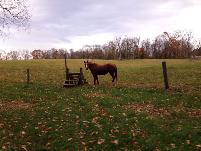 AT through PA farm fields on final 10/29 morning
