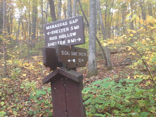 heading towards Rob Hollow Shelter VA on night #2, 10/21
