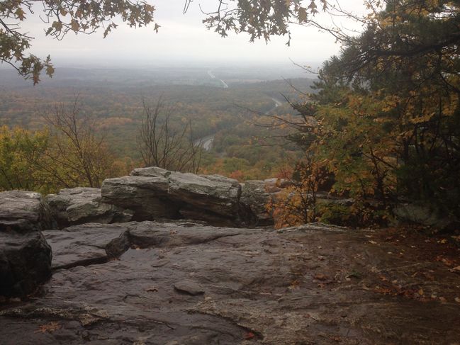 VA views
