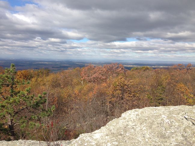 VA views
