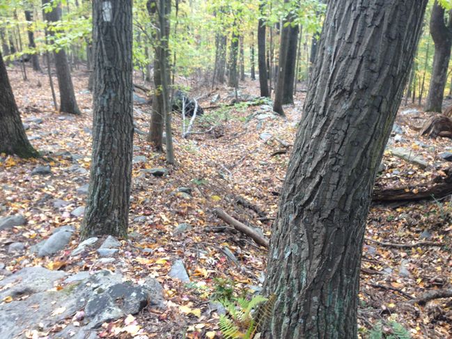 civil war earthworks on Loudon Heights descending to Harpers Ferry
