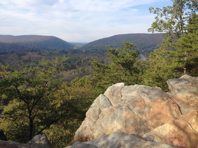 MD views
