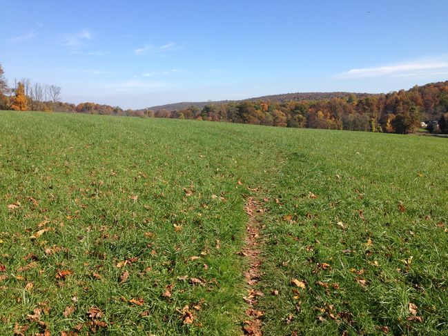 farm fields in MD
