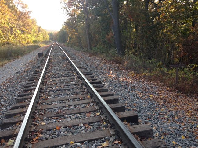 RR just before Mason Dixon Line 10/25 late afternoon
