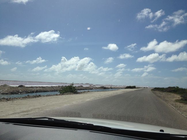 Bonaire_044.JPG