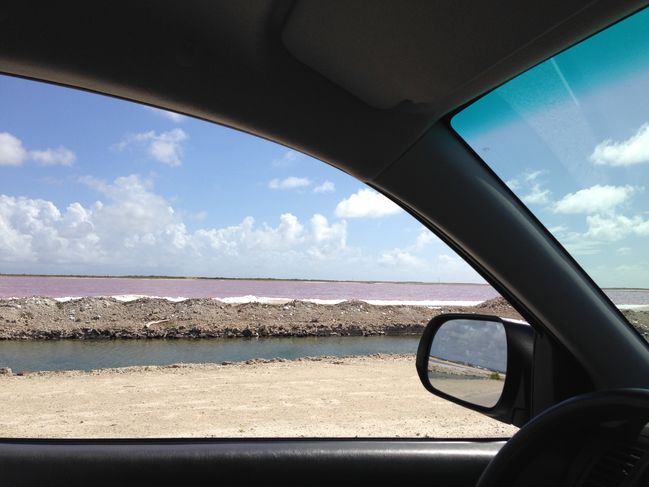 salt piles in distance
