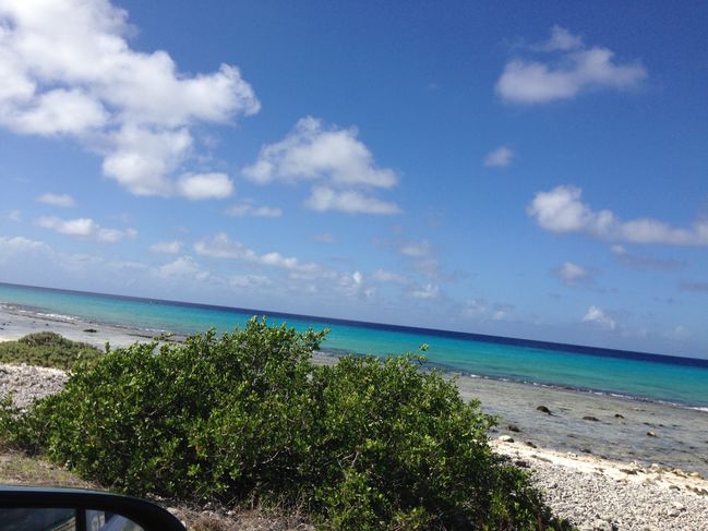 typical dive site
