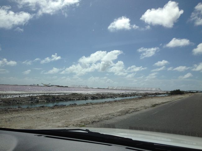 pink is a salt pan
