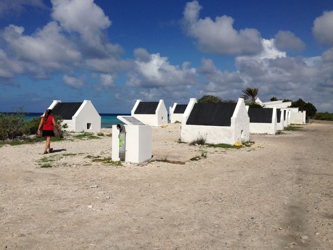 white slave huts
