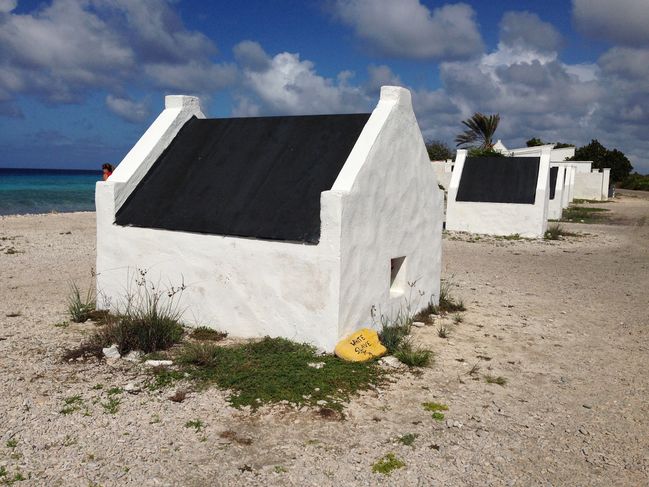 white slave huts
