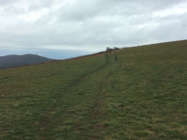 Max Patch Bald
