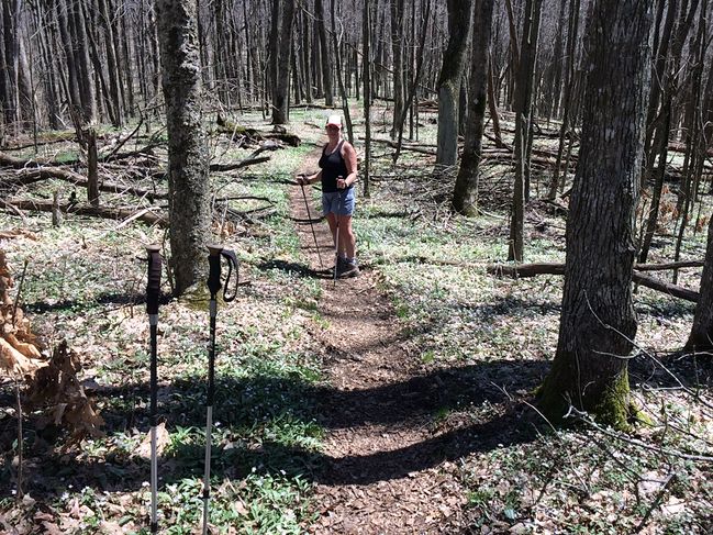 Devils Fork Gap to Sams Gap, NC
