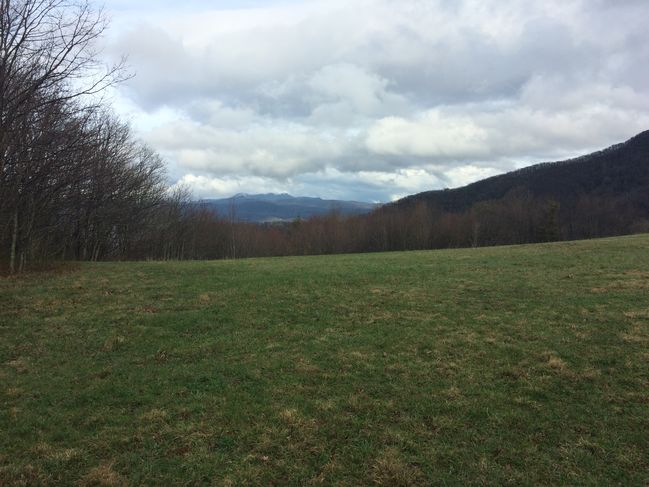3/14/15 Doll Flats descending into town of Roan Mtn 
