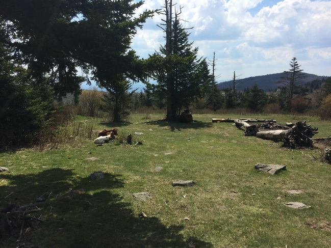 Grayson Highlands State Park
