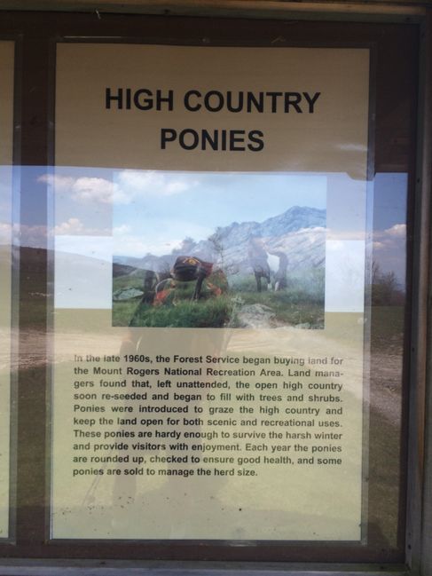 Grayson Highlands State Park
