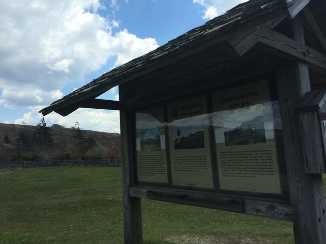 Grayson Highlands State Park
