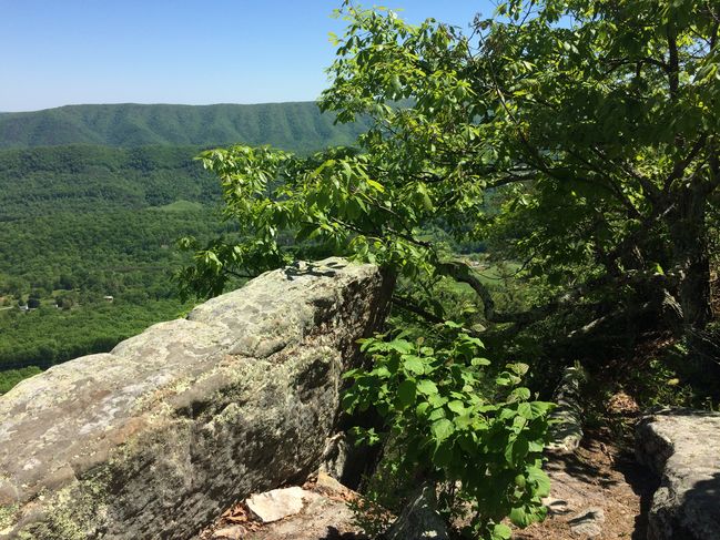 ATSouthVA_024.JPG