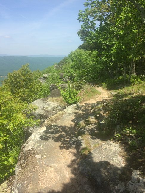 North of McAfee's Knob
