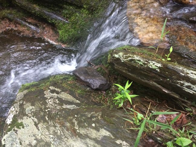 YIKES!!...when I went to get water same place as night before.
