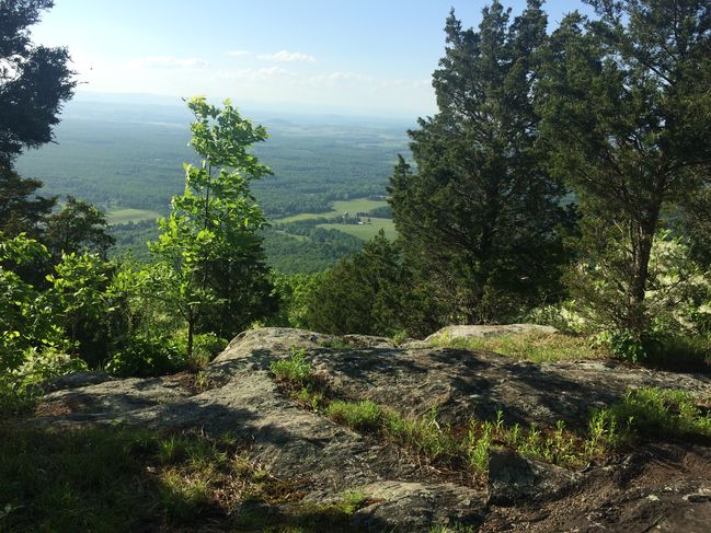 Views descending "The Priest"
