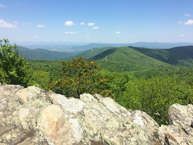 ATNorthernVA_069.JPG