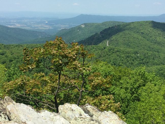 ATNorthernVA_070.JPG
