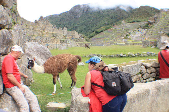 MachuPicchu2016_093.JPG