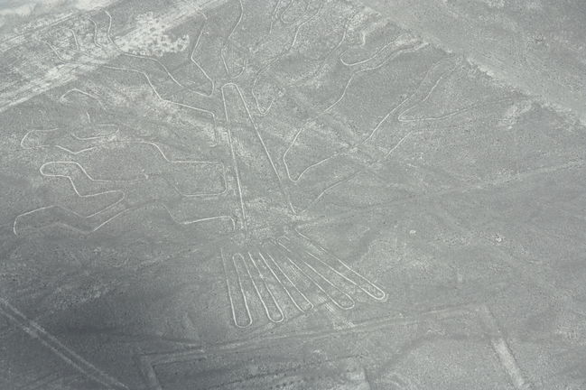 NascaLines_033.JPG