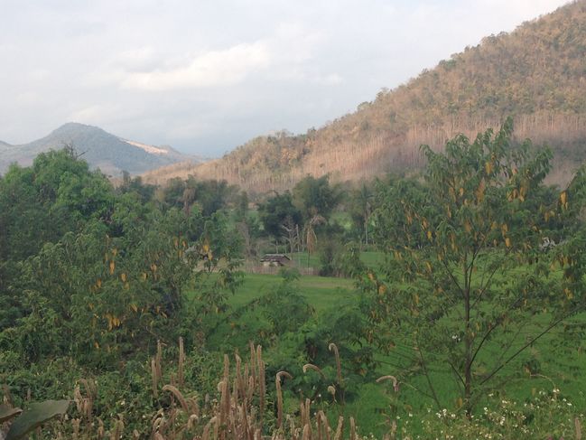 en route to Luang Prabang, 2/26/17
