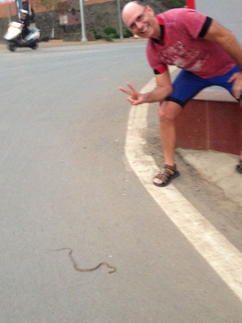 Snake on Son La street on way to dinner
