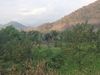 SouthEastAsiaBikeTrip_127.JPG