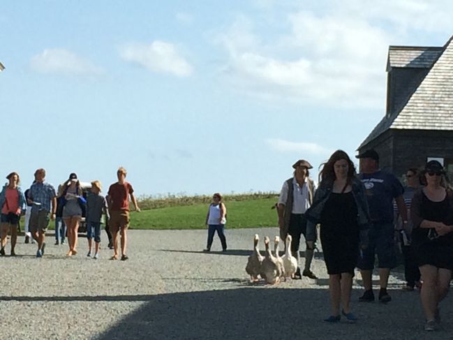 Louisbourg, Nova Scotia, 8/28/17
