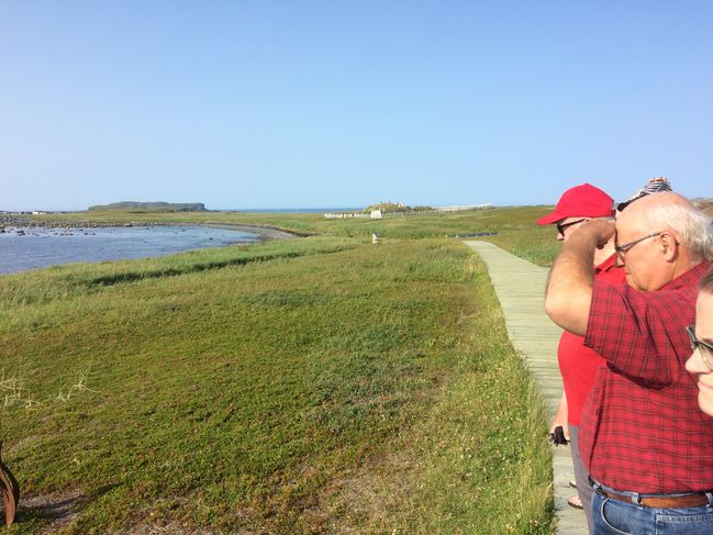 L'Anse Aux Meadows, 8/29/17
