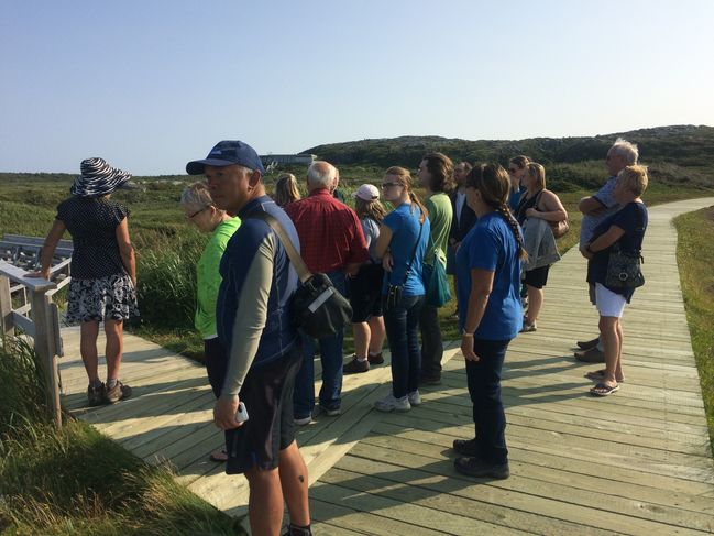 L'Anse Aux Meadows, 8/29/17
