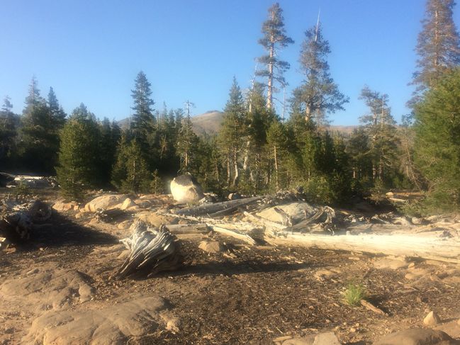 8/19 campsite on Tamarack Lake
