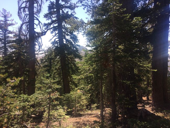 8/20 heading north from Tamarack Lake

