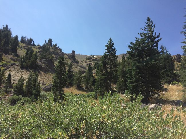 8/21 meadow hiking
