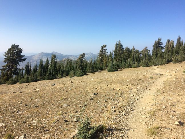 8/22 Descending from Dick's Pass on shoulder of Tallac
