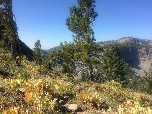 8/24 Heading North from Barker Pass
