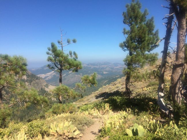 8/24 Hiking North from Barker Pass
