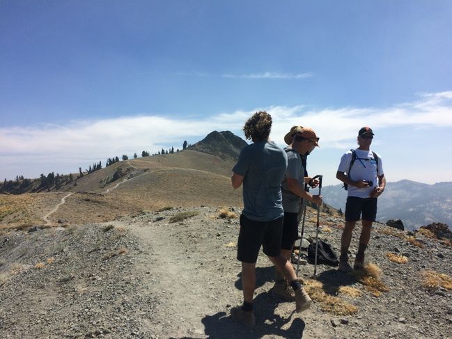8/25 near top of Tinker Knob
