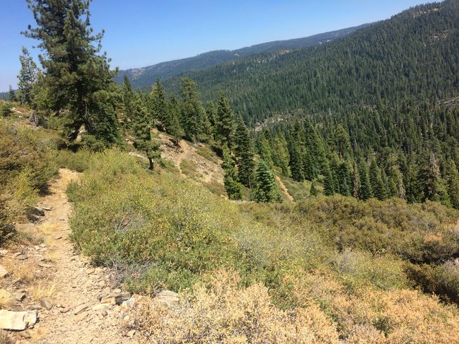 PCT_1048-1287_051.JPG