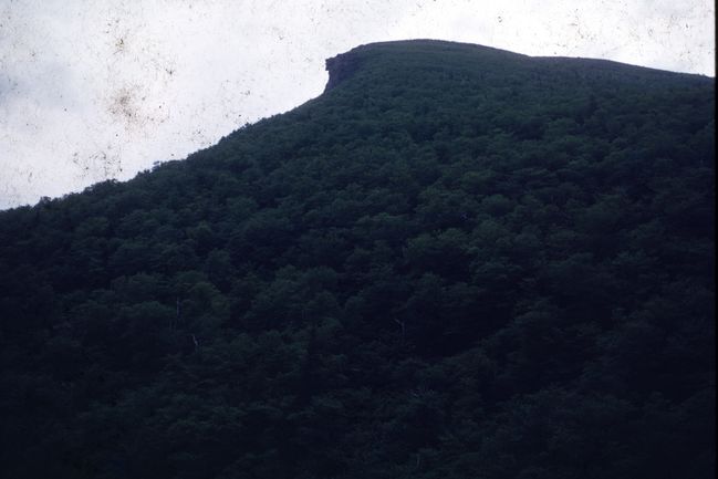 Scan-181130-0024.jpg