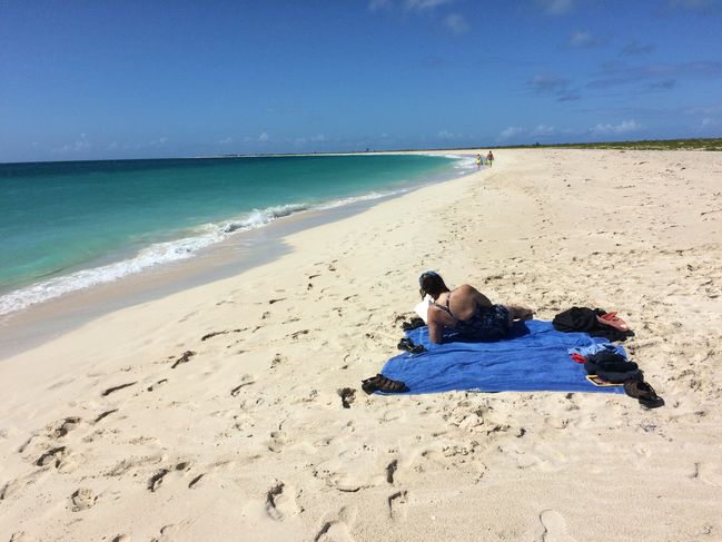 Barbuda (what's left of it)
