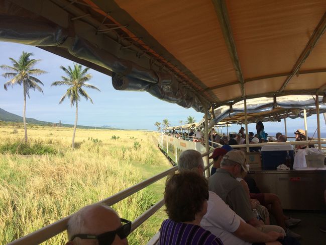 Tourist train on converted narrow gauge sugar cane railway
