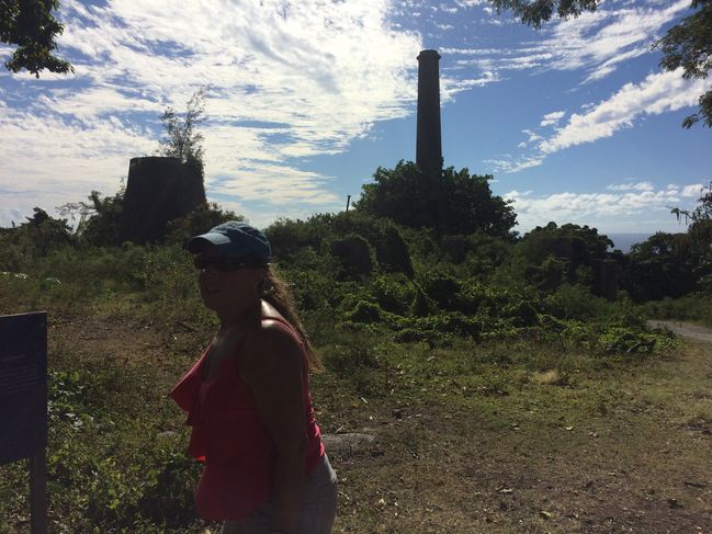 Sugar Plantation of Alexander Hamilton's Ancestors
