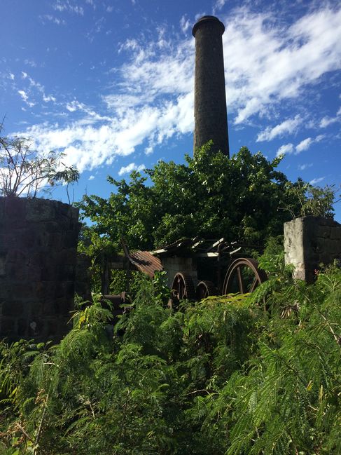 Sugar Plantation of Alexander Hamilton's Ancestors
