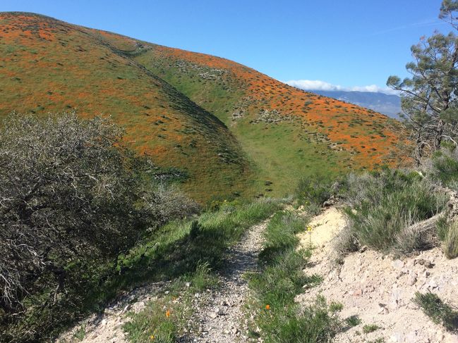 PCT454-652_034.JPG
